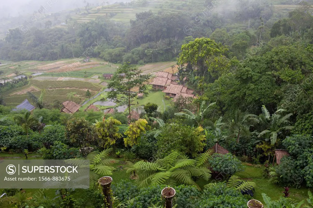 Pacung rice terraces view in heavy downpour, Bali