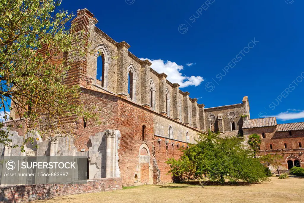 Ruins of the Cistercians abbey San Galgano, Chiusdino, Tuscany, Italy, Europe