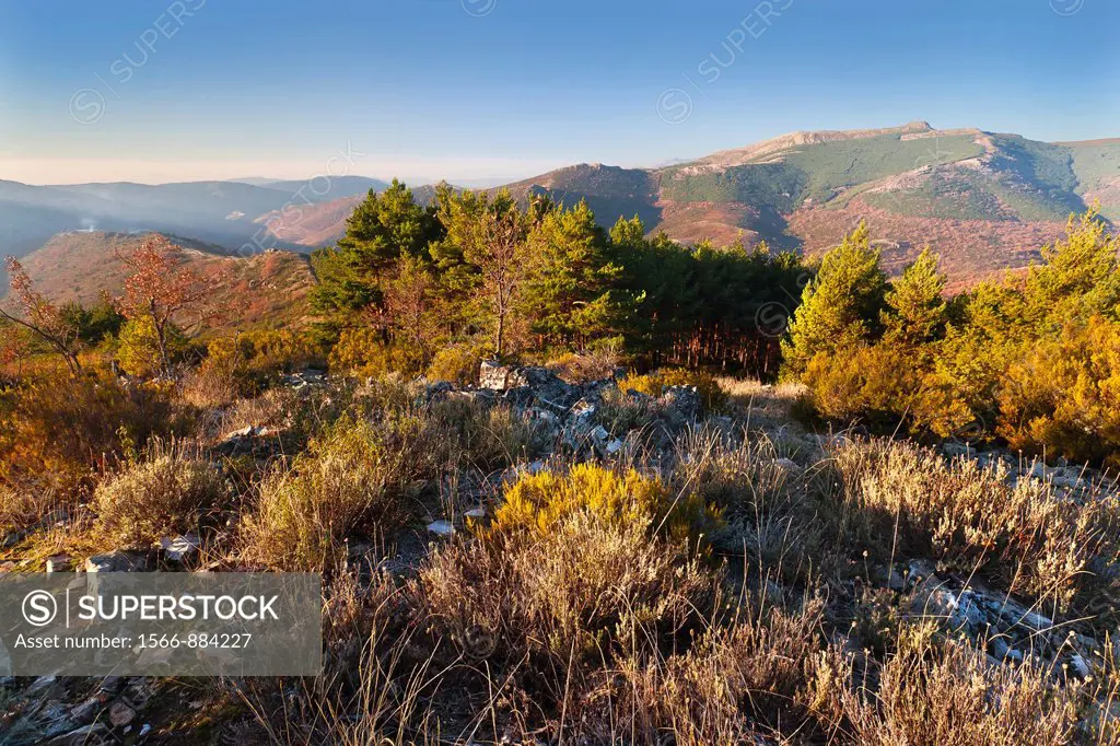 Sierra de la Puebla from the Cabeza Minga in the Sierra Norte  Madrid  Spain