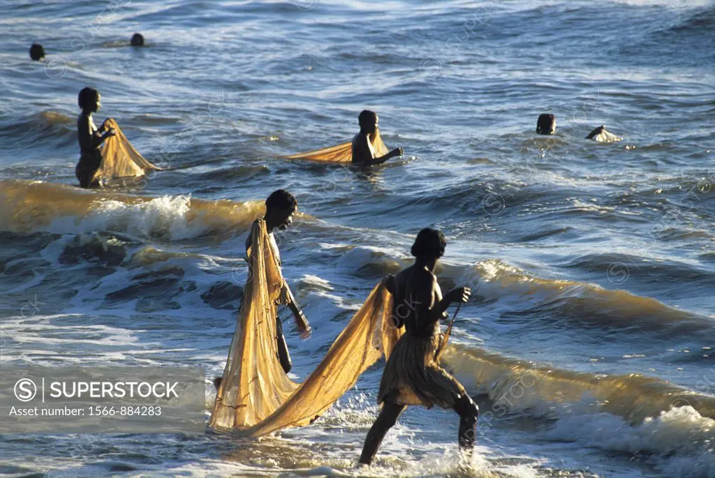 women catching alevins Sicyopterus lagocephalus with a fishing net, Mananjara on the East coast, Republic of Madagascar, Indian Ocean