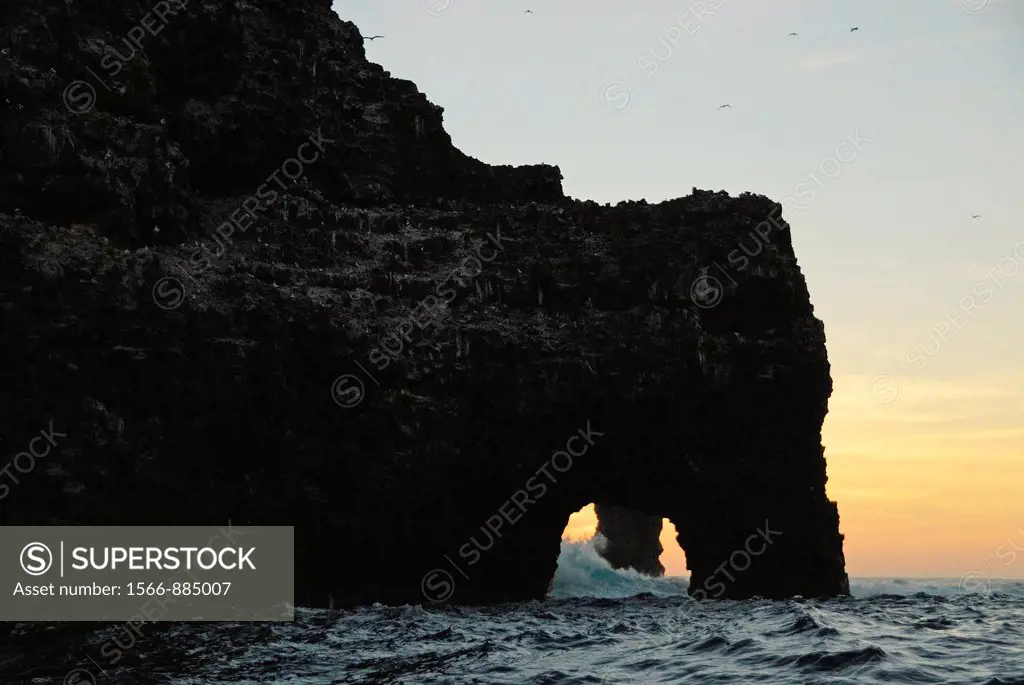 Arch and rocky cliffs in ocean at sunset, Wolf or Wenman Island, Galapagos Islands, Ecuador