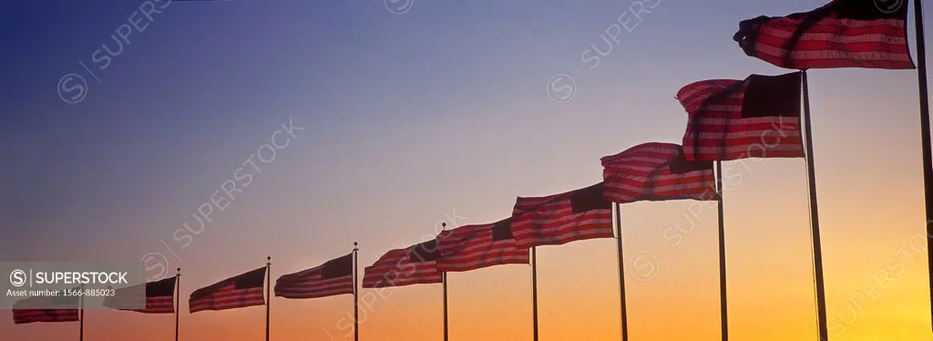 Flags at sunset around the Washington Monument in Washington DC in the United States of America