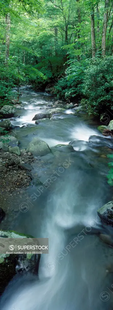 Roaring Fork River along the Roaring Fork Motor Nature Trail in Great Smoky Mountain National Park in Tennessee