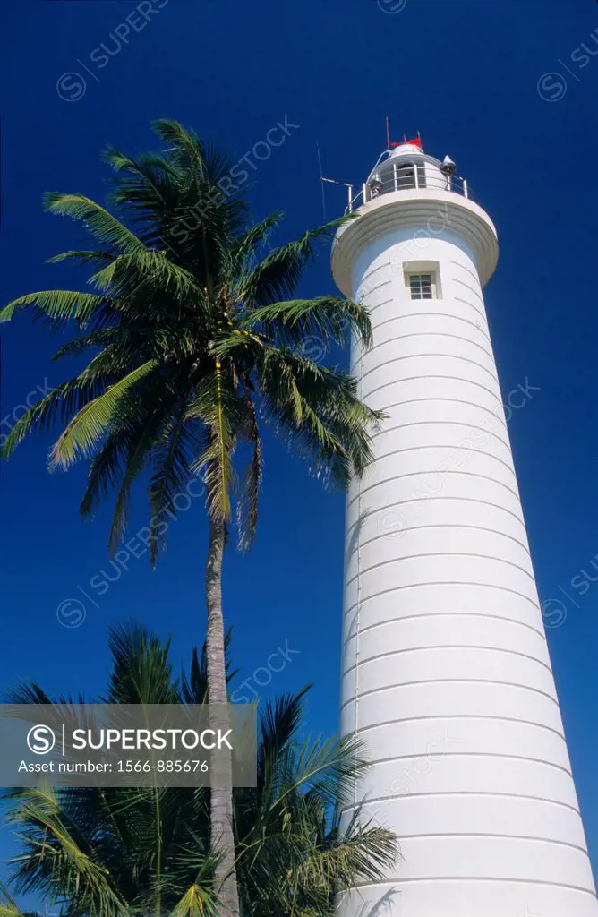 Lighthouse and palm tree, Old Fort, Galle , Sri Lanka