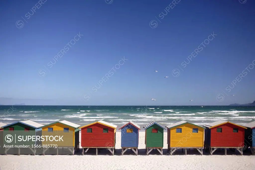 Colorful beach huts at the sandy beach of Muizenberg with blue sky, seen from above with seagulls, False Bay near Cape Town, South Africa
