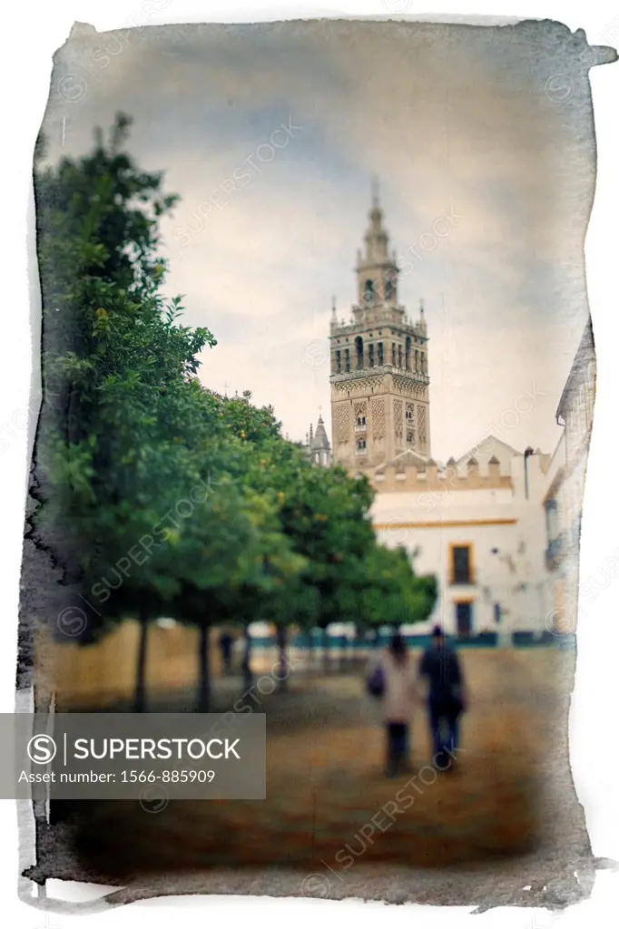 The Giralda Tower as seen from Patio de Banderas square, Seville, Spain  Taken with tilted lens to get shallower depth of field and digitally edited t...