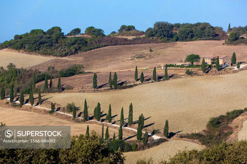Rolling landscape near Sant´Albino, Province of Siena, Tuscany, Italy, Europe