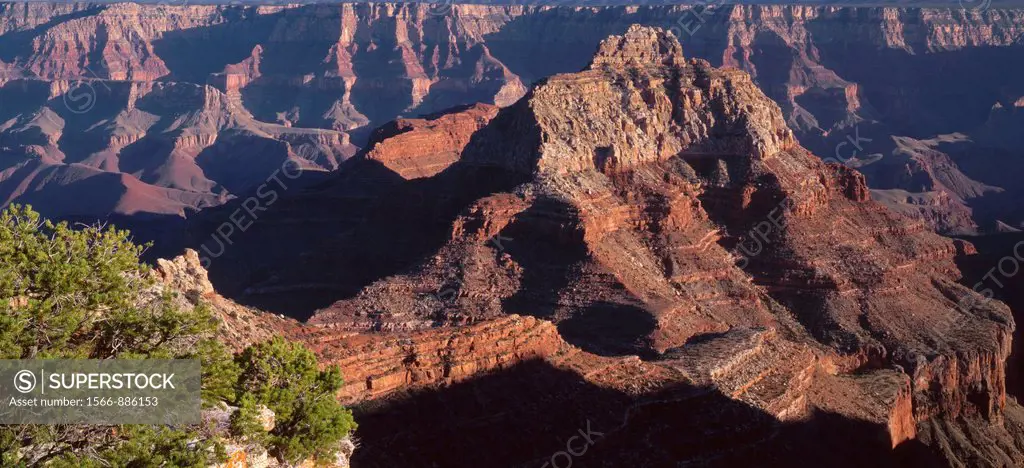 Evening light on Vishnu Temple and surrounding formations, view south from Cape Royal, North Rim, Grand Canyon National Park, Arizona, USA
