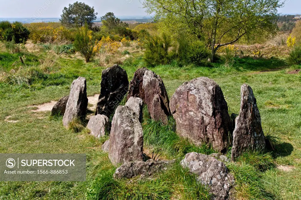 the Hotier viviane, Called Tomb of the Druids also, has it peaks 191 meters. This is a megalithic monument in the shape of a chest. broceliande, Morbi...