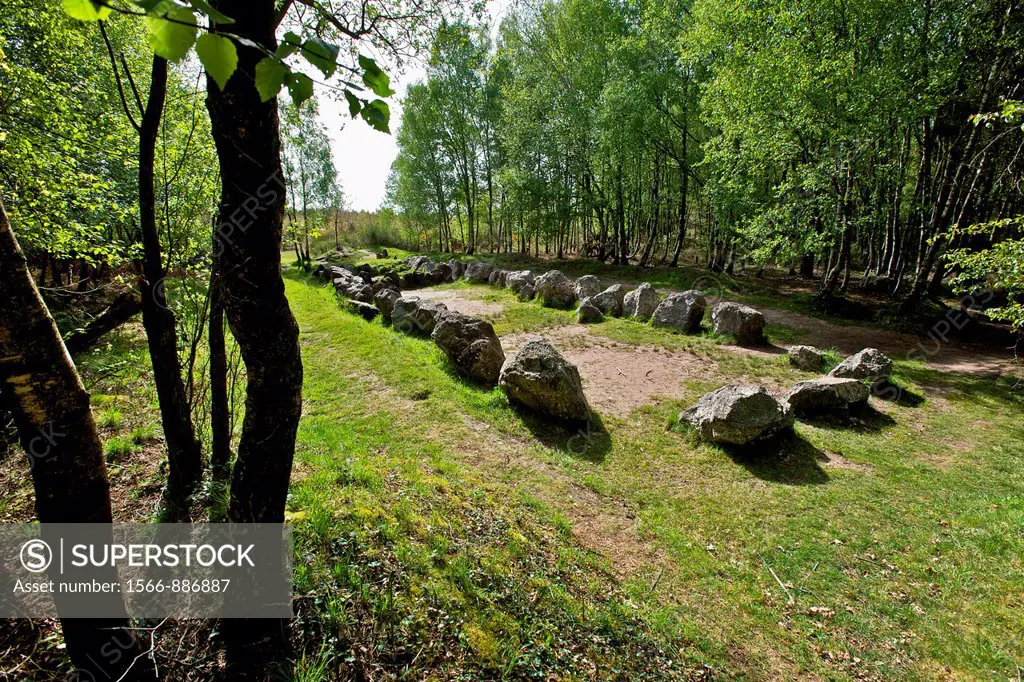 the garden to the monks, monks and nobles organized orgies daily. megalithic site with 27 meters long and 6 wide. has Tréhorenteuc, broceliande, Morbi...