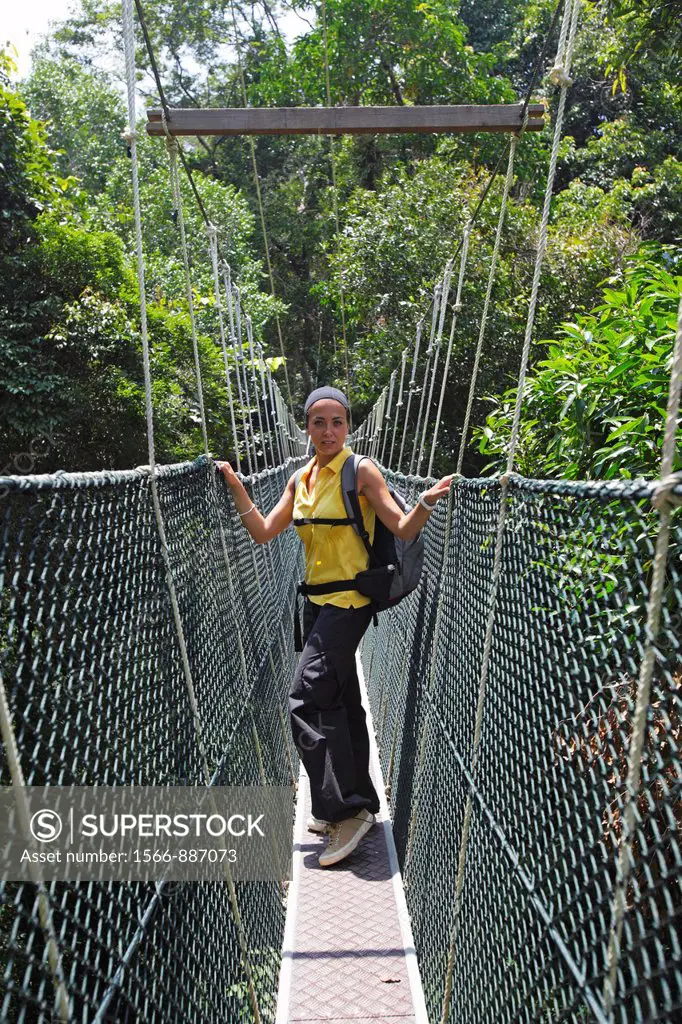 Canopy walk in the Taman Negara´s rainforest, Malaysia