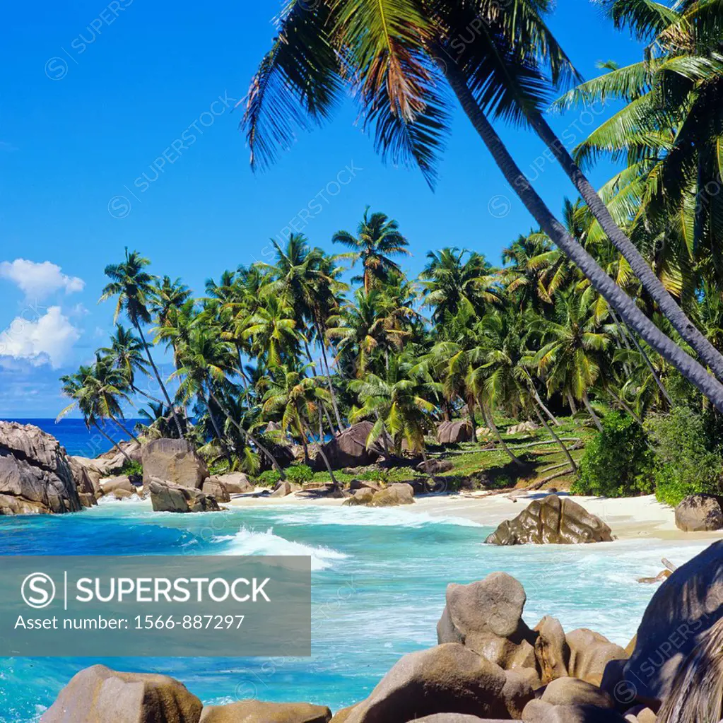 Beach with palm trees, granite rocks, sea, La Digue island, Seychelles