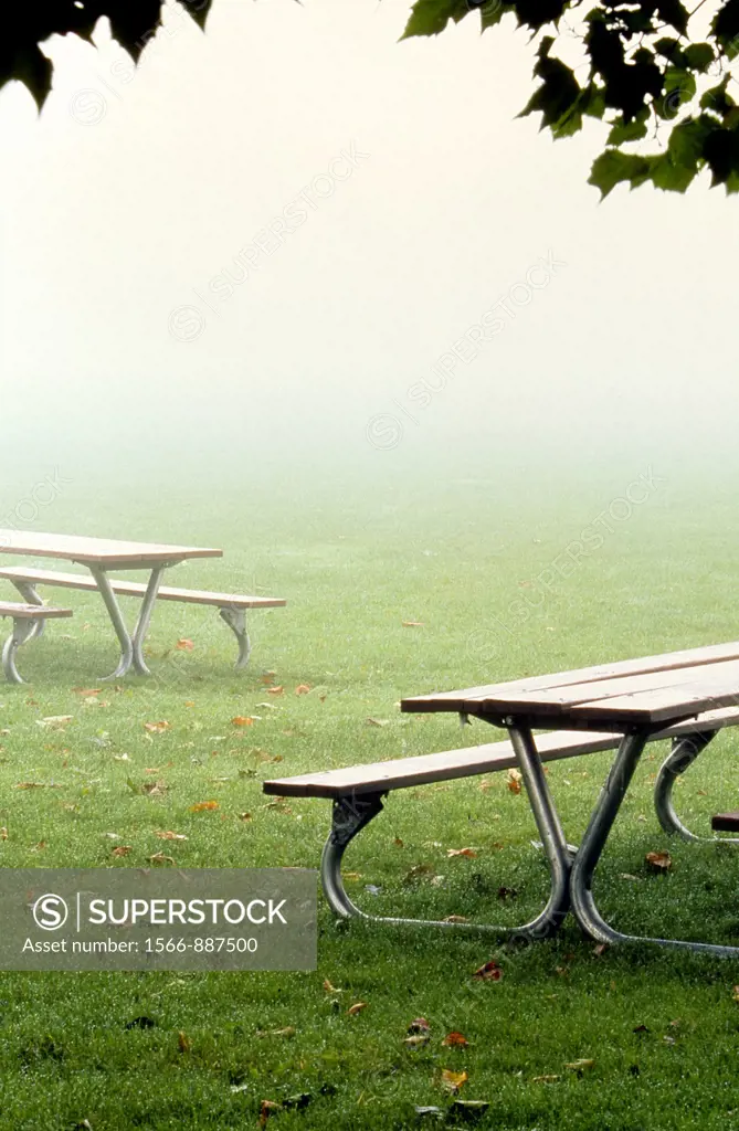 Disappearing Picnic