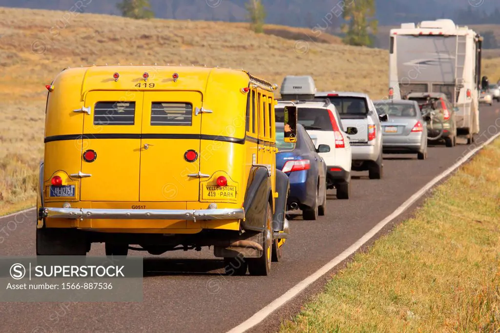 Yellow tour bus in a traffic jam caused by bison or grizzly bear in the Lamar Valley of Yellowstone National Park in Wyoming