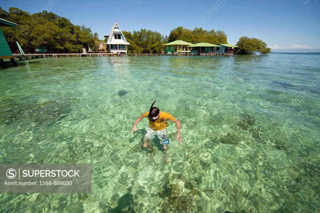 snorkeling in the clear water of the small Caribbean island of Coral Key, Bocas del Toro, Panama, Central America