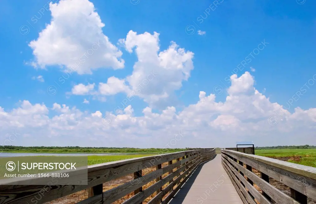 Birdwalk at Myakka River State Park, Florida