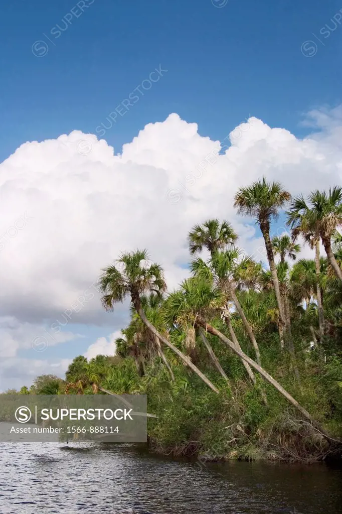 Myakka River in southwest Florida