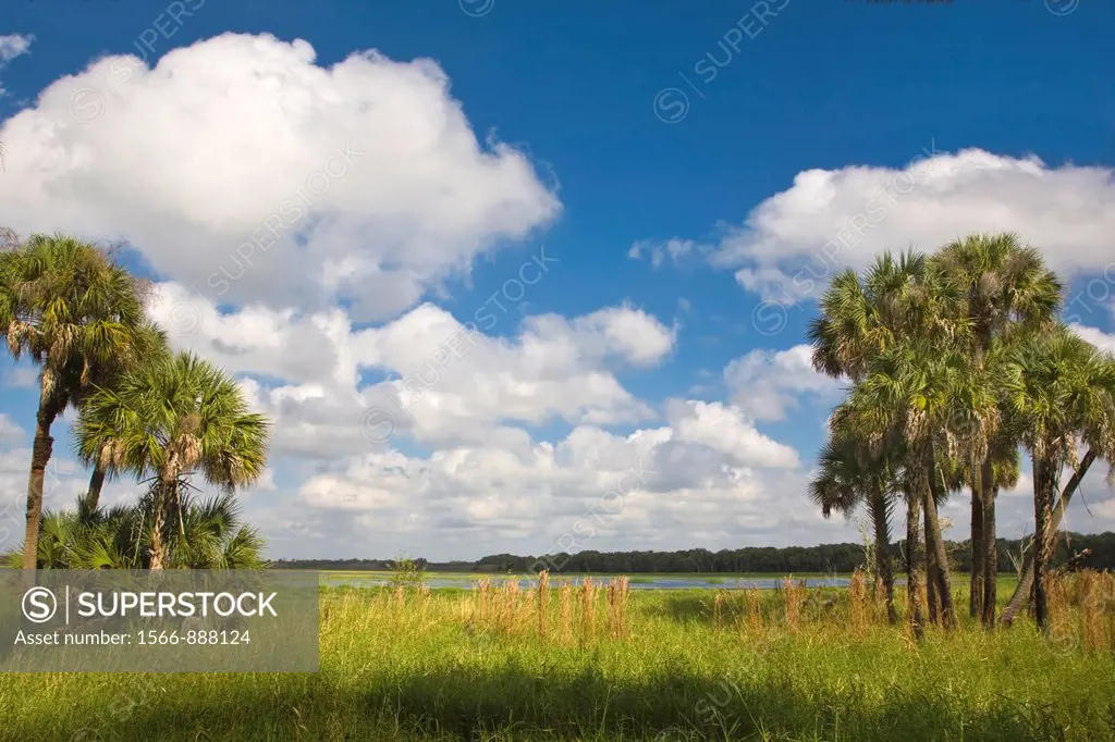 Myakka River State Park Sarasota Florida