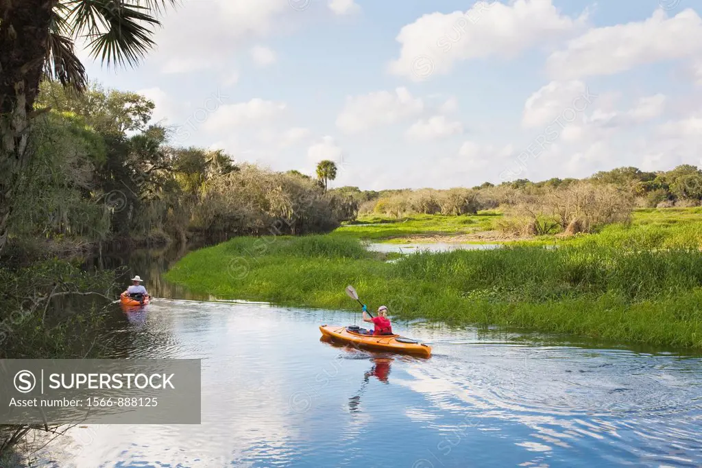 Kayaking in the Myakka River in Myakka River State Park Sarasota Florida