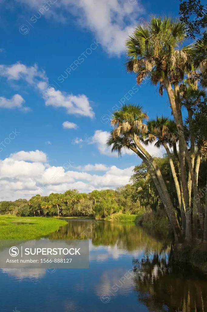 Myakka River in Myakka River State Park Sarasota Florida
