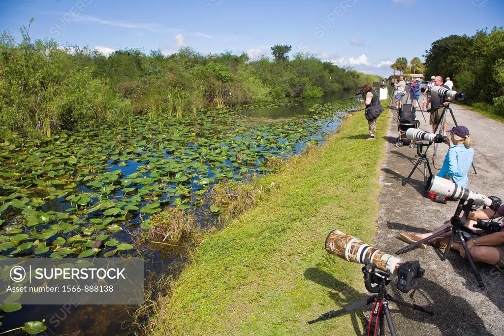 Photographers in the Shark Valley section the Everglades National Park Florida