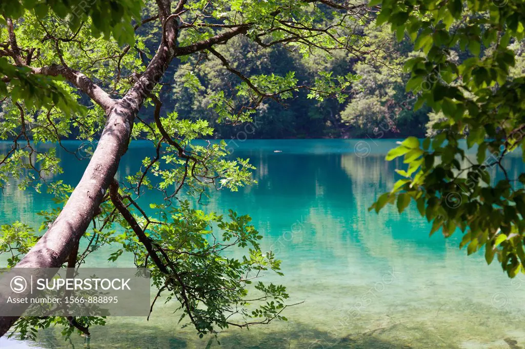 Plitvice lakes National Park, Croatia, Europe
