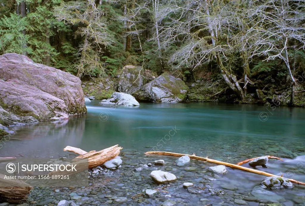 North Fork Skokomish River, Olympic National Park, Washington