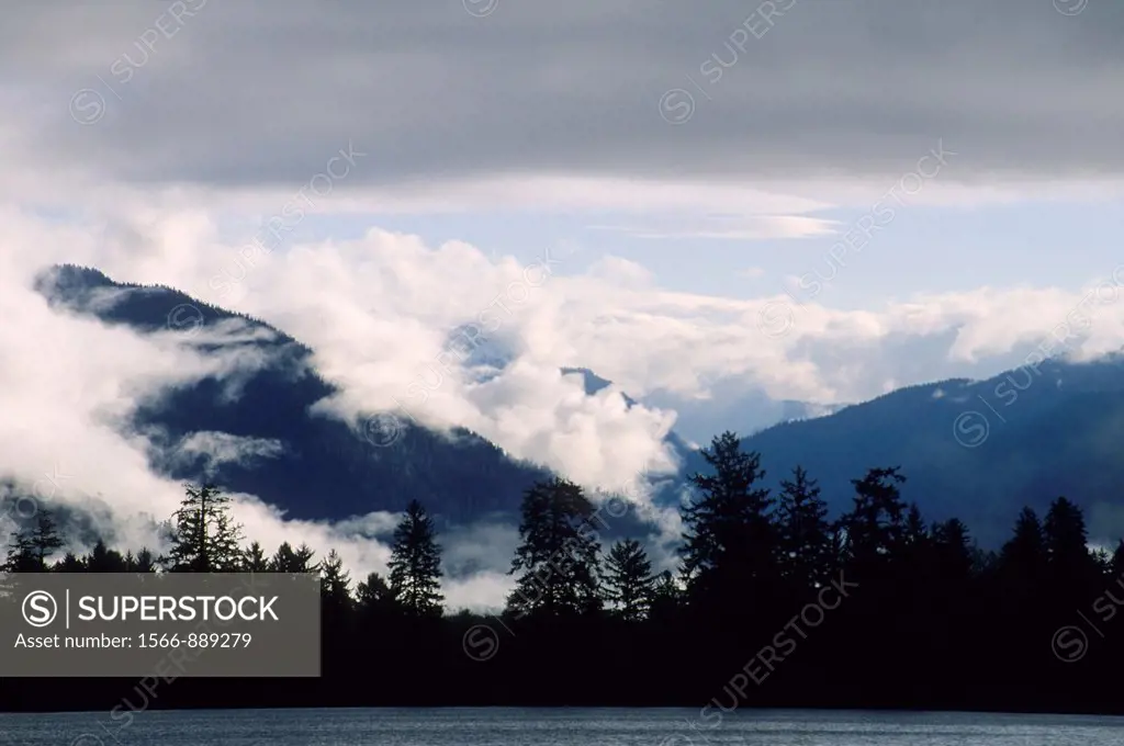 Morning clouds at Quinault Lake, Olympic National Forest, Washington