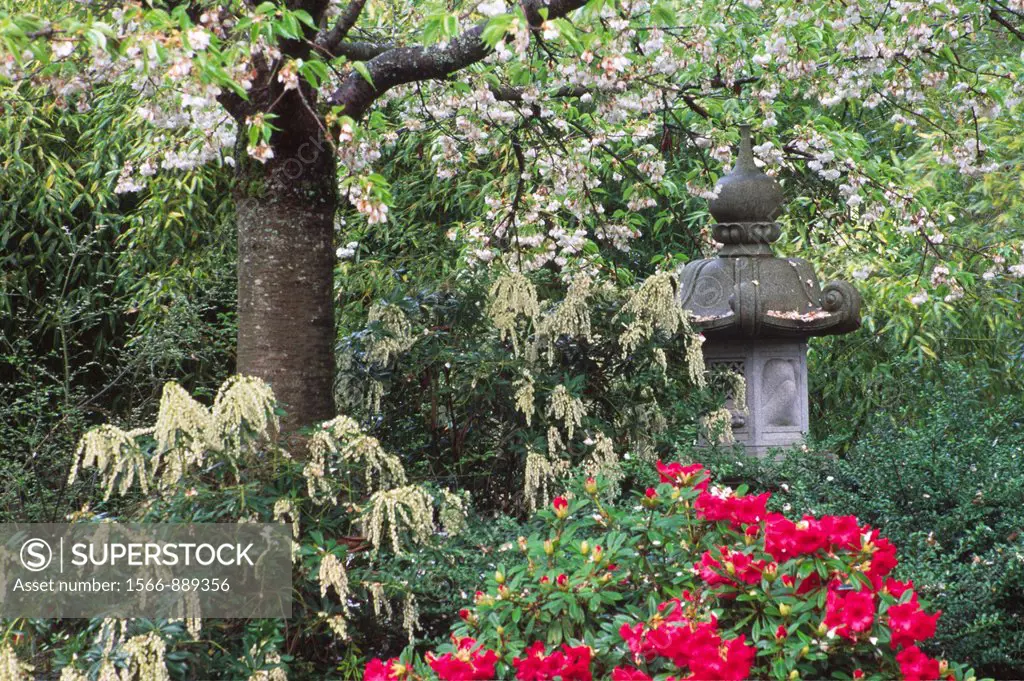 Yashiro Japanese Garden, Olympia, Washington