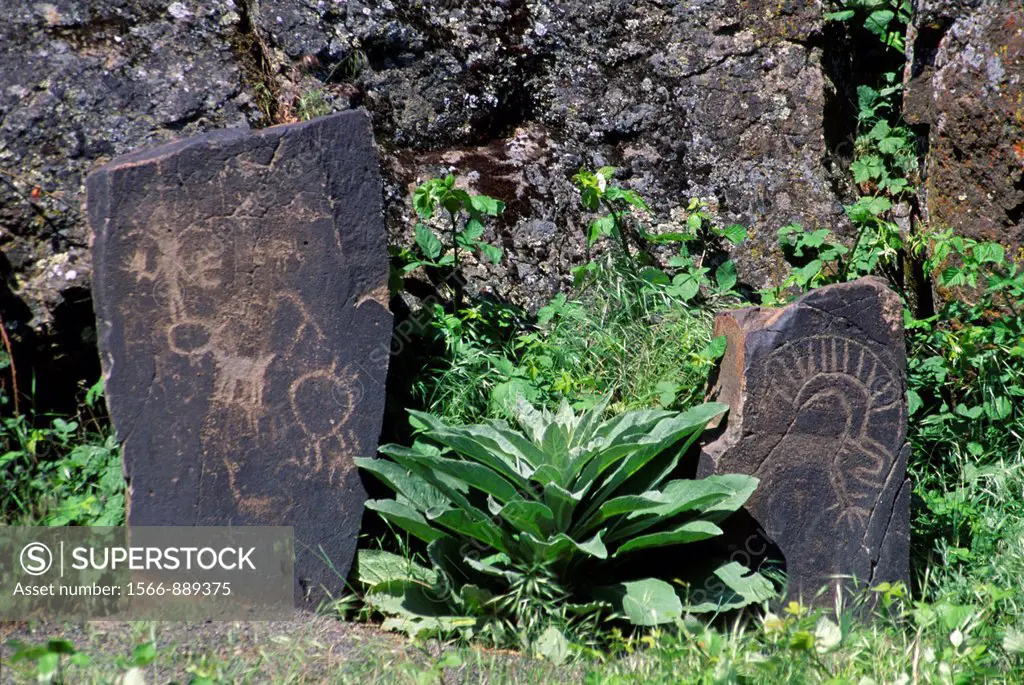 Petroglyph along Petroglyph Trail, Columbia Hills State Park, Columbia River Gorge National Scenic Area, Washington