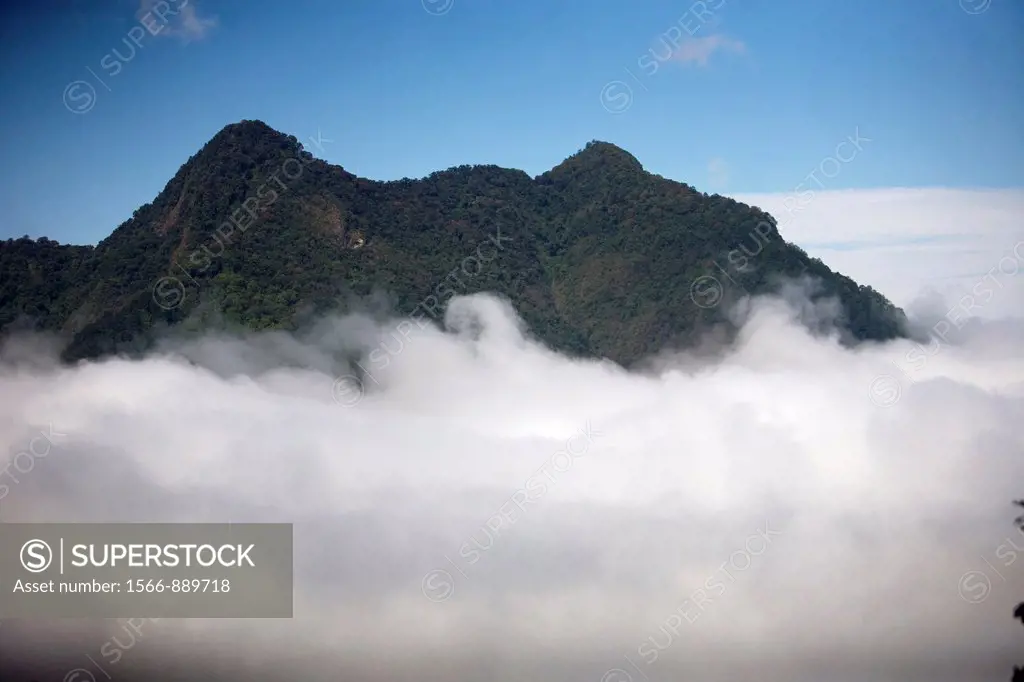 Fog hovers below a mountain peak in El Triunfo Biosphere Reserve in the Sierra Madre mountains, Chiapas state, Mexico