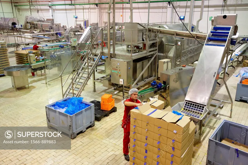 Production line of canned vegetables and beans in glass bottle, Corn, Maize, Canning Industry, Agri-food, Logistics Center, Gutarra, Grupo Riberebro, ...