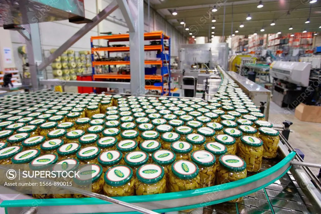 Labeling and packaging canned vegetables, Green bean, Canning Industry, Agri-food, Logistics Center, Grupo Riberebro, Alfaro, La Rioja, Spain