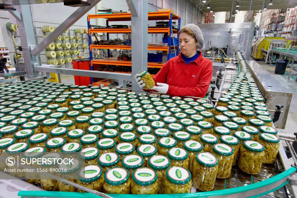Labeling and packaging canned vegetables, Green bean, Canning Industry, Agri-food, Logistics Center, Grupo Riberebro, Alfaro, La Rioja, Spain