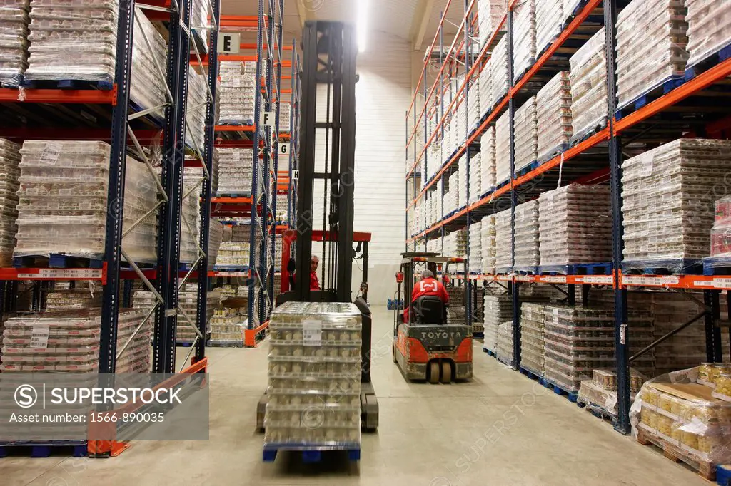 Forklifts, Pallet warehouse, Packaging canned vegetables, Canning Industry, Agri-food, Logistics Center, Grupo Riberebro, Alfaro, La Rioja, Spain
