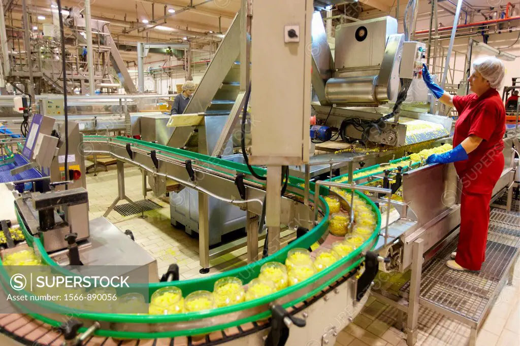 Production line of canned vegetables and beans in glass bottle, Corn, Maize, Canning Industry, Agri-food, Logistics Center, Gutarra, Grupo Riberebro, ...