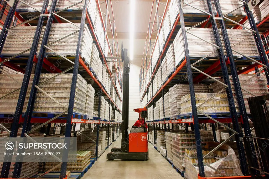 Forklifts, Pallet warehouse, Packaging canned vegetables, Canning Industry, Agri-food, Logistics Center, Grupo Riberebro, Alfaro, La Rioja, Spain