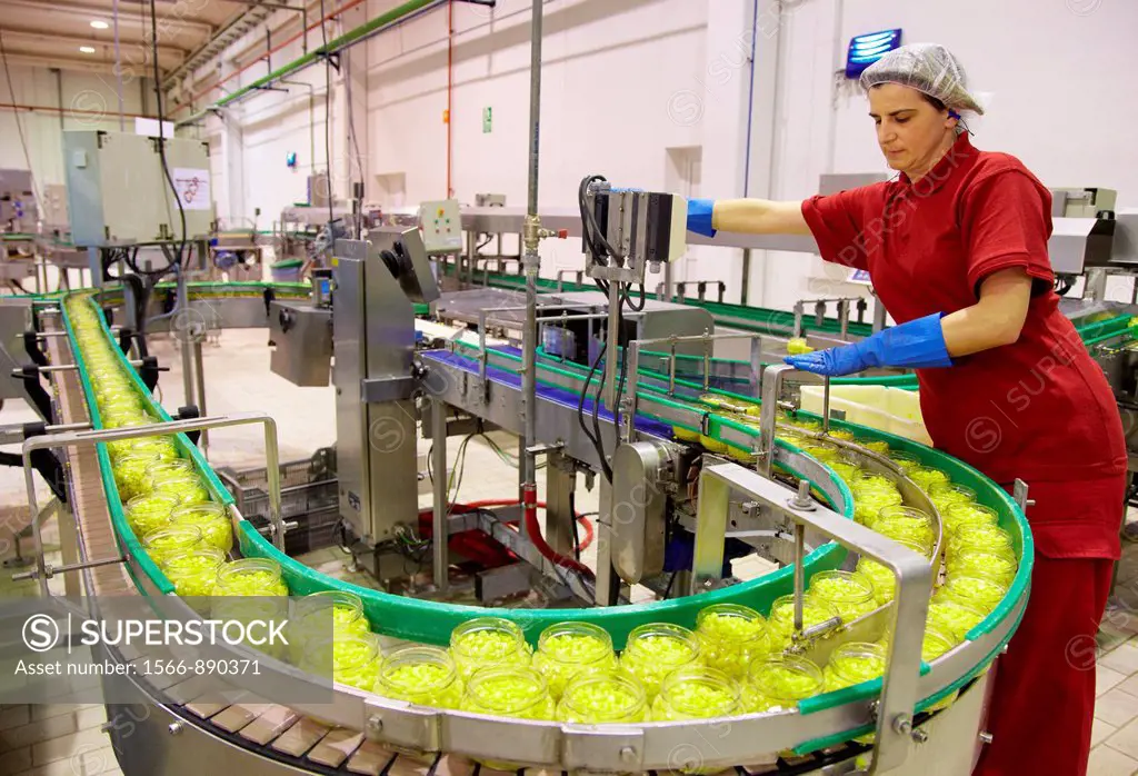 Production line of canned vegetables and beans in glass bottle, Corn, Maize, Canning Industry, Agri-food, Logistics Center, Navarra, Spain
