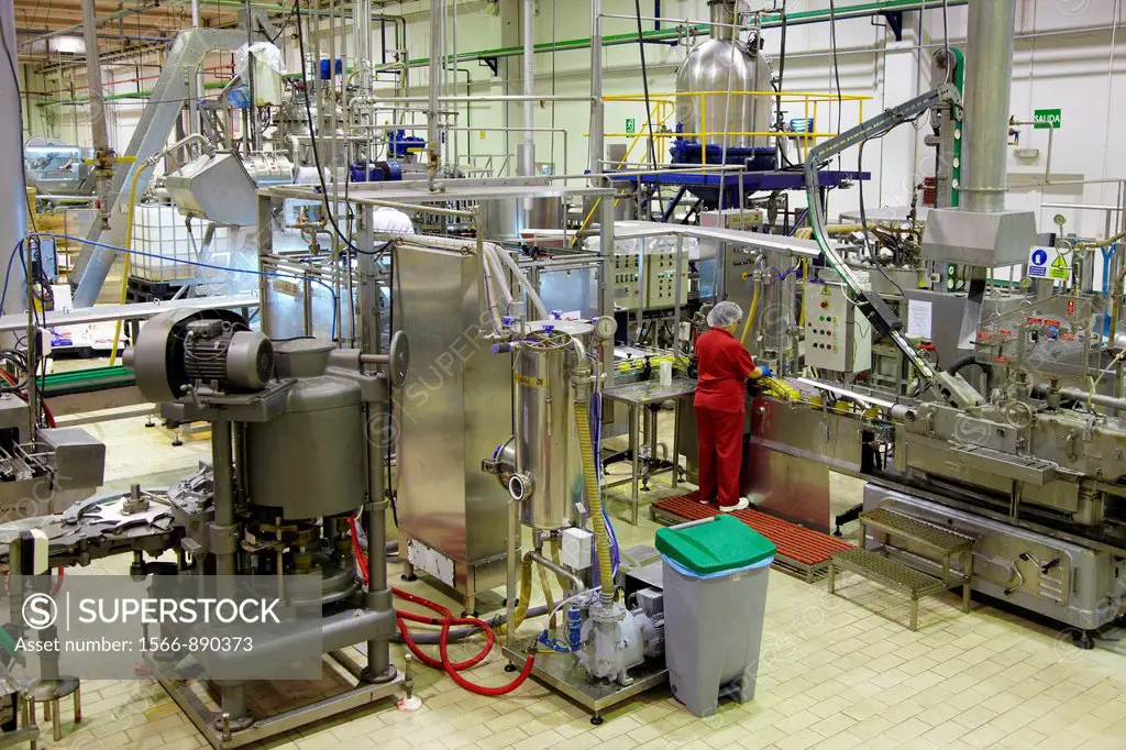 Production line of canned vegetables and beans in glass bottle, Corn, Maize, Canning Industry, Agri-food, Logistics Center, Gutarra, Grupo Riberebro, ...