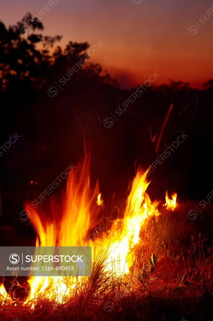 Bushfire at dusk, Litchfield National Park, Northern Territory, Australia