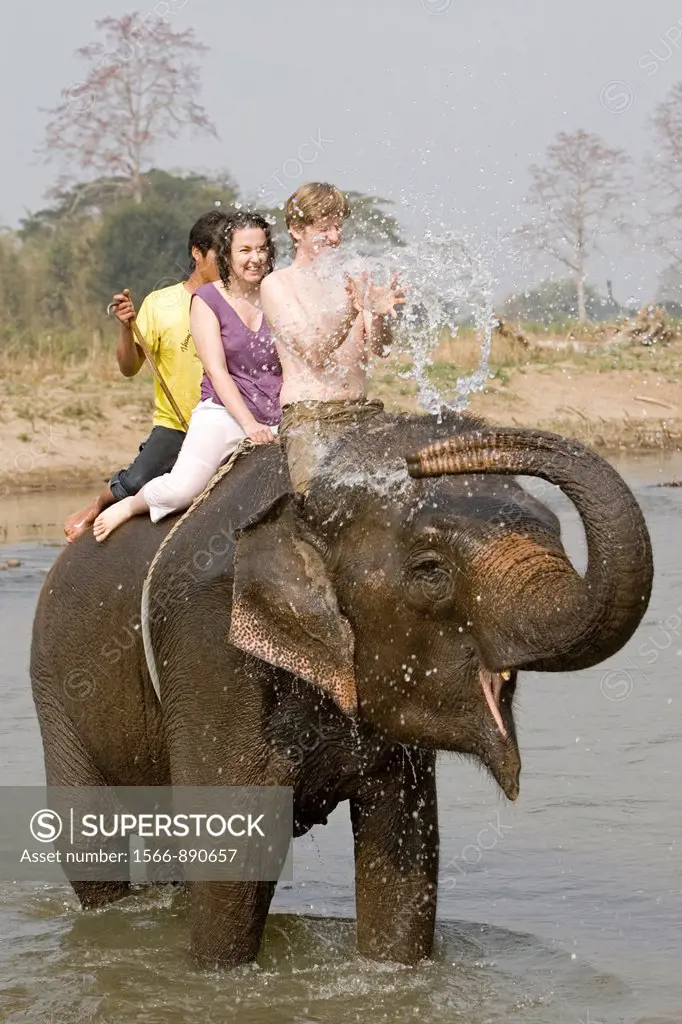 Elephants splash and play surprising young tourists in river on trek near Pai north Thailand