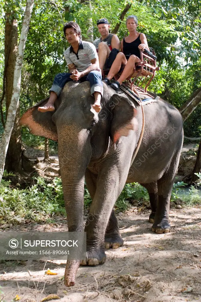 Elephant trekking Nosey Parker Elephant Camp near Ao Nang Thailand