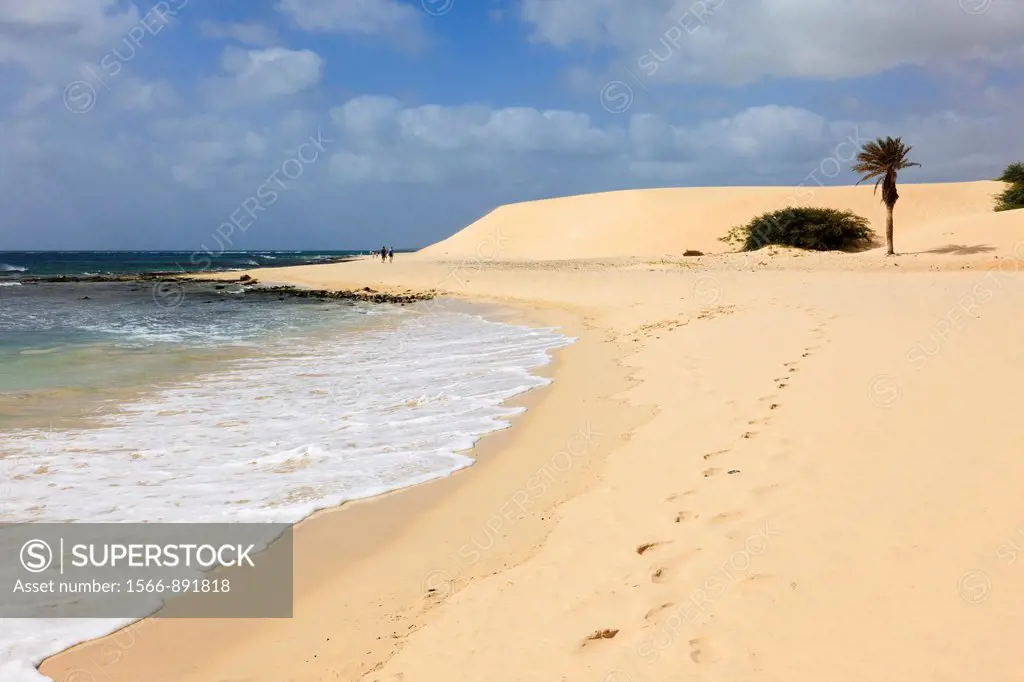 Praia de Chaves, Rabil, Boa Vista, Cape Verde Islands, Africa  Footprints along the shoreline of quiet white sandy beach to a palm tree and sand dunes