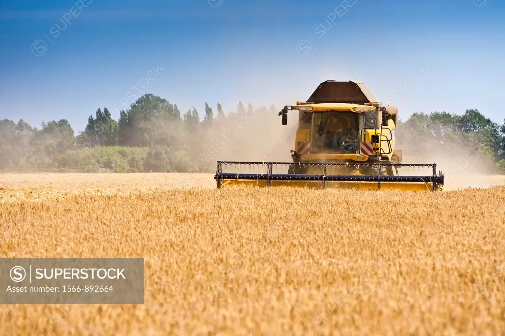 Harvest of a barley field with a harvester in Lower Saxony, Germany, Europe