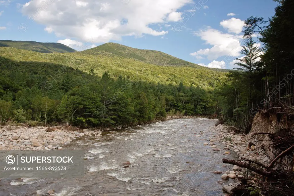 Severe riverbank erosion along the East Branch of the Pemigewasset River from Tropical Storm Irene in 2011 has opened up a view of the Hitchcock Mount...