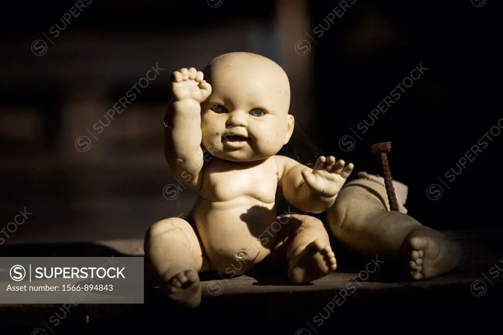 A doll decorates the Island of the Dolls in Xochimilco, southern Mexico City, December 17, 2011  The late Don Julian turned his ´chinampa,´ a small ar...