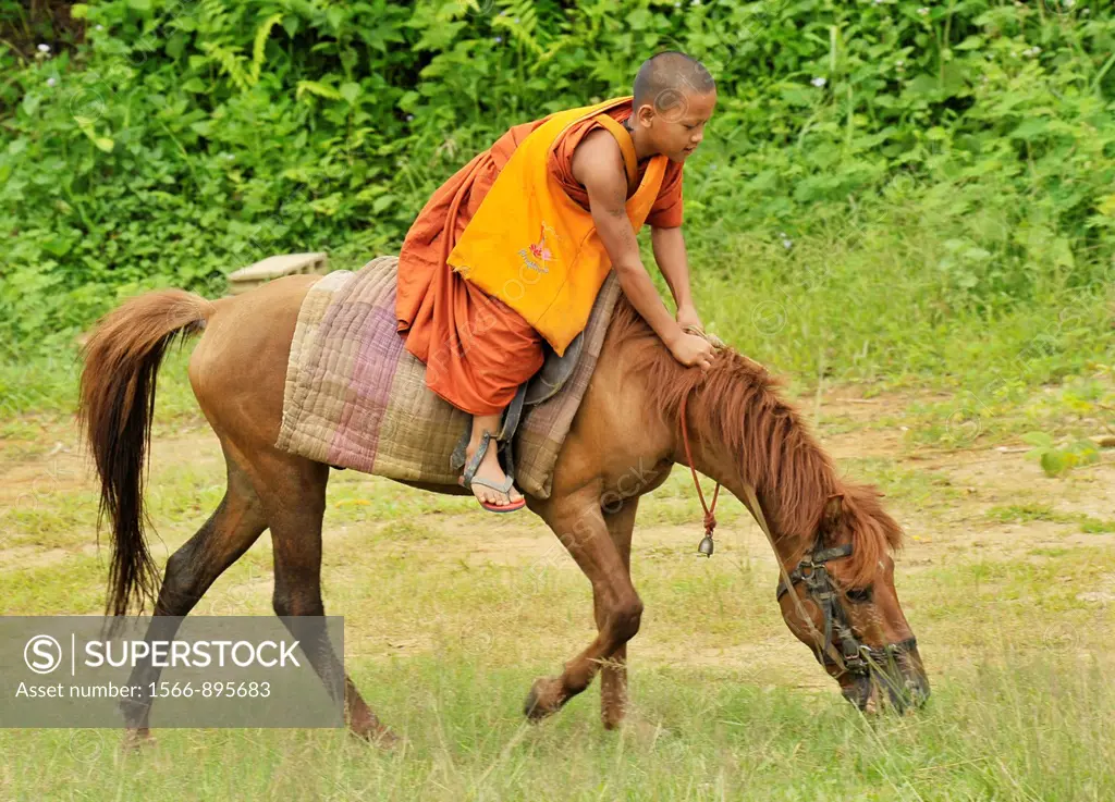 Novice and the horse on relaxation time, Wat Tam Pa Ar-Cha Thong, Maechan, Chiangrai, North of Thailand.