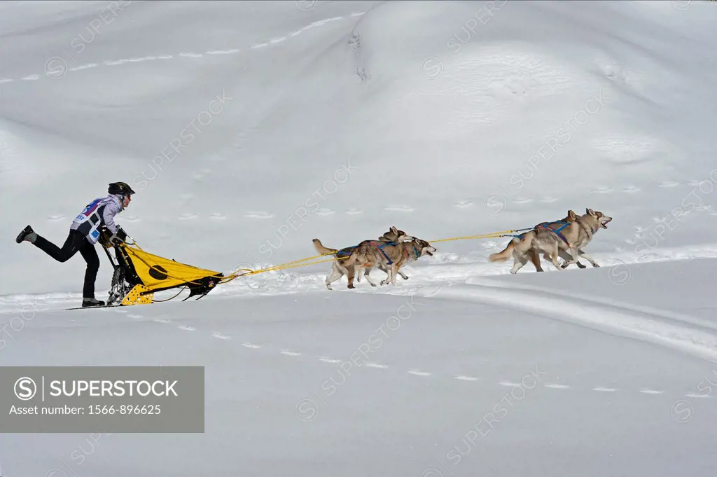 International Dog Sled Race, Gadmen, Bernese Oberland, Switzerland