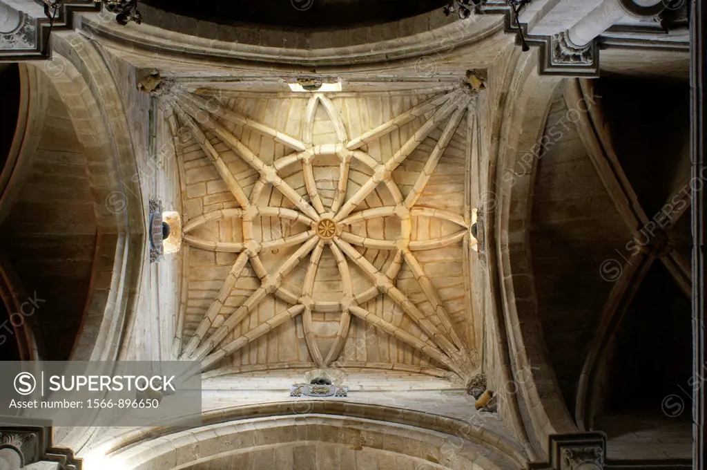 Tui Cathedral, vault, Tui, Pontevedra, Galicia, Spain