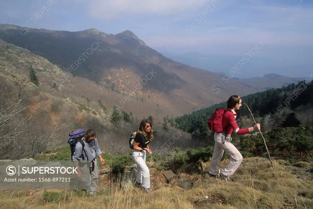 hikers in the Natural Park of Montseny, Catalonia, Spain, Europe